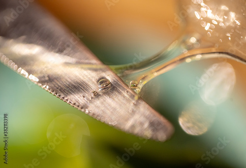 Aloe Vera Naturkosmetik Gel Beauty Close up Detail
