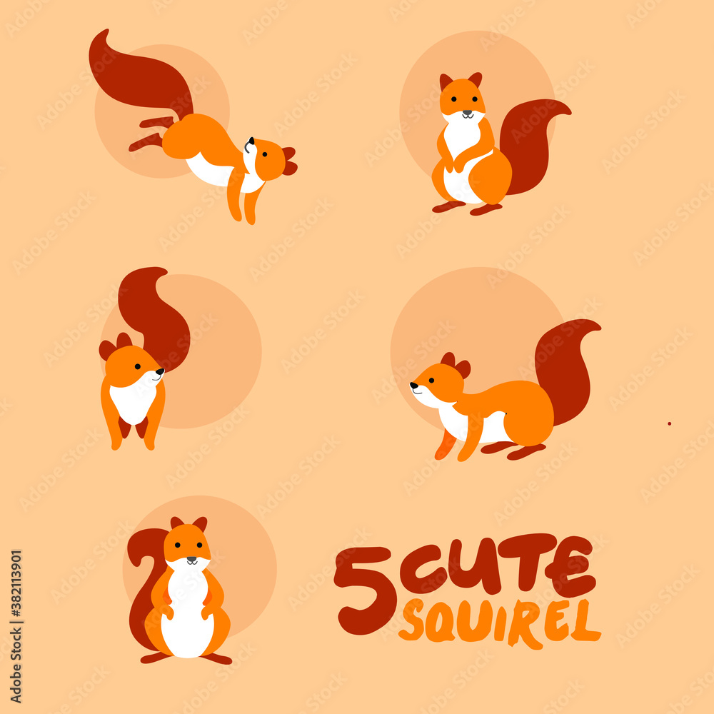 Fototapeta premium Squirrel cartoon character.Simple animal cute vector illustration