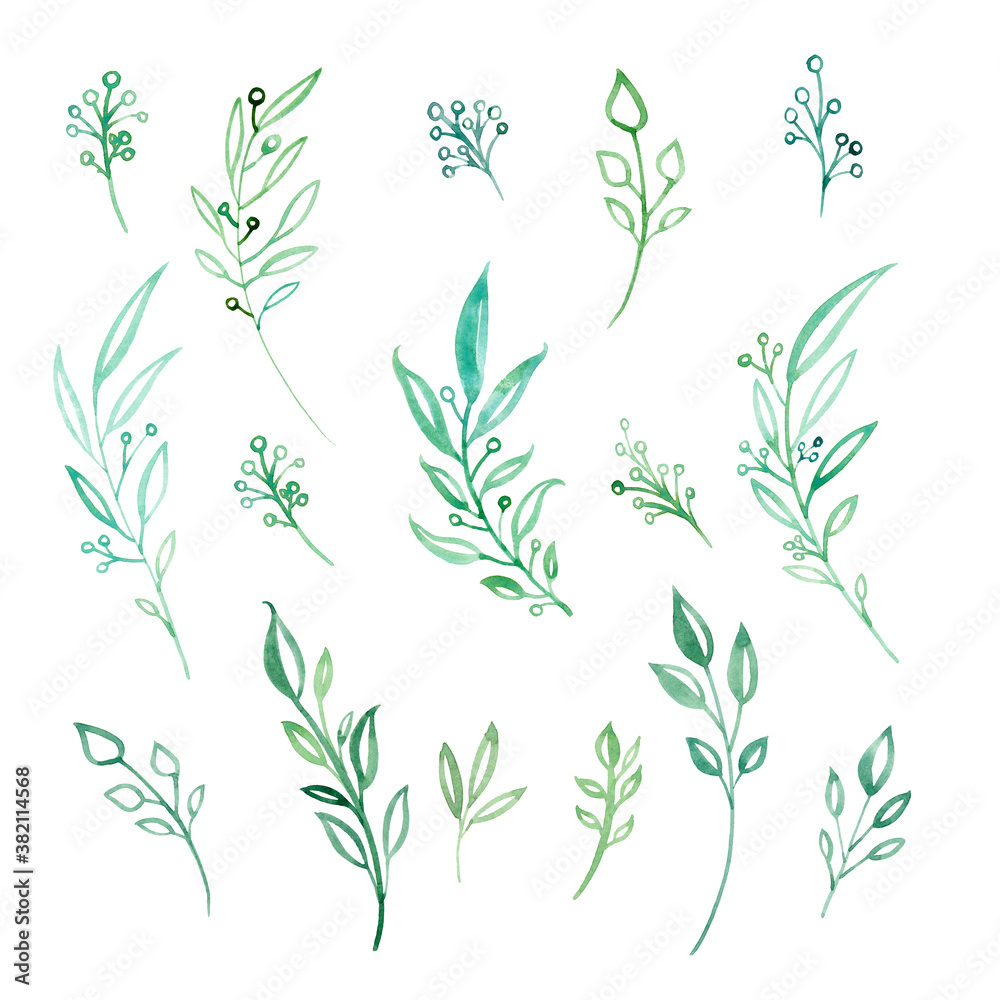 Set of watercolor twigs. Green, blue and turquoise twigs and leaves on a white isolated background. Stylized plants. Grass.