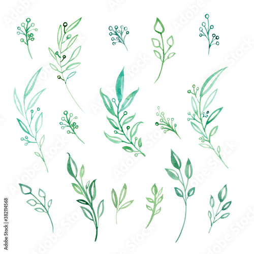 Set of watercolor twigs. Green  blue and turquoise twigs and leaves on a white isolated background. Stylized plants. Grass.