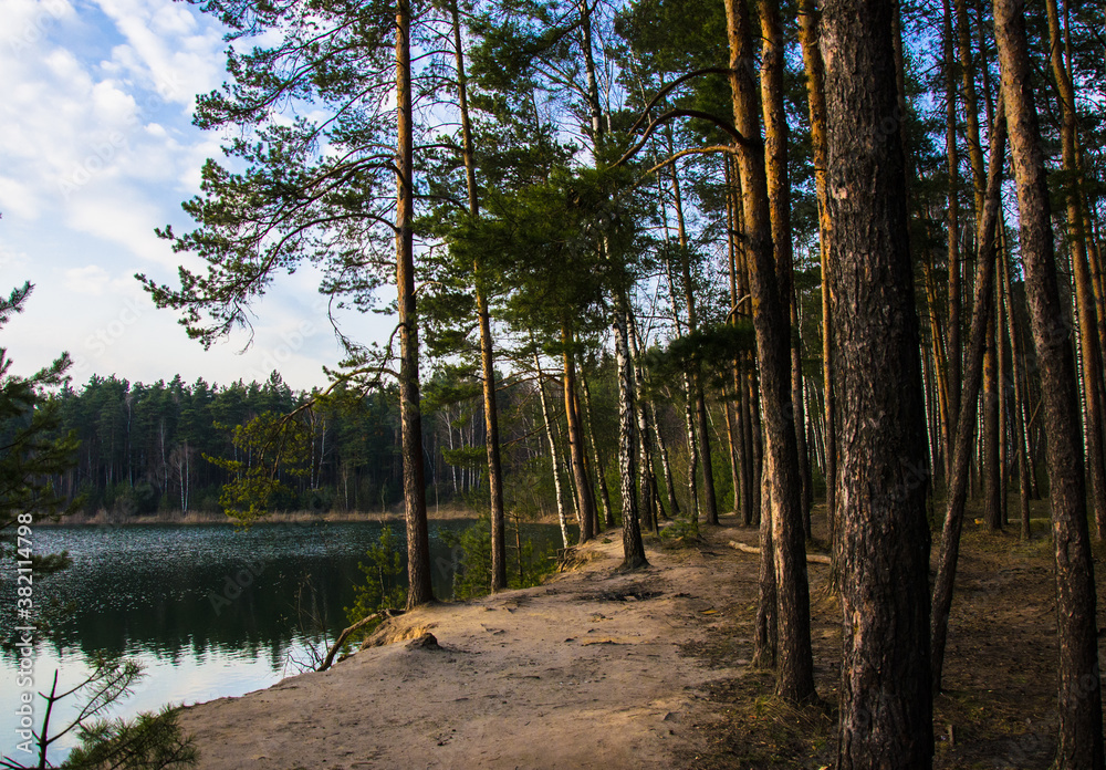 a picturesque forest lake with banks covered with coniferous forest in early spring a picturesque forest lake with banks covered with coniferous forest in early spring
