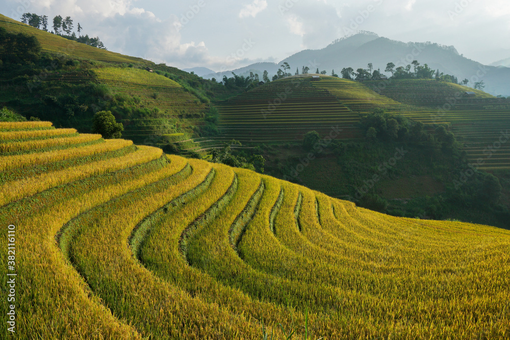 Beautiful morning terraced rice fields in Sapa, Viatnam