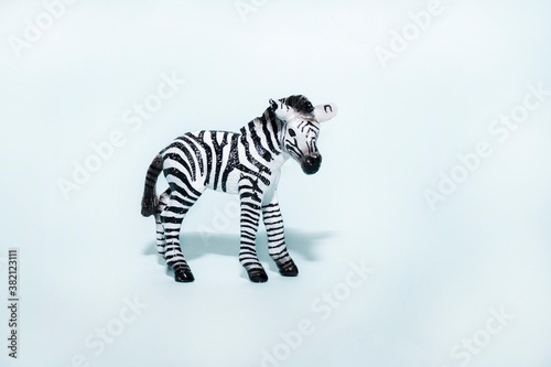 Toy Zebra on a blue background photo