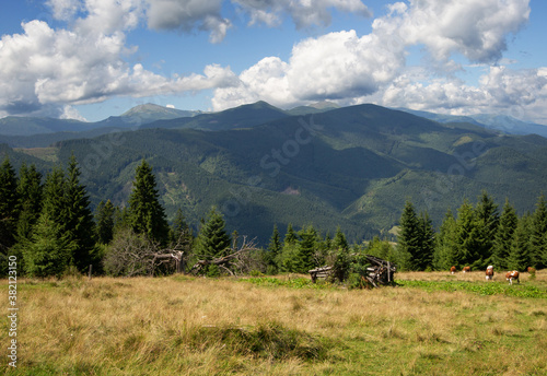 Beautiful mountain landscape. Carpathian mountains