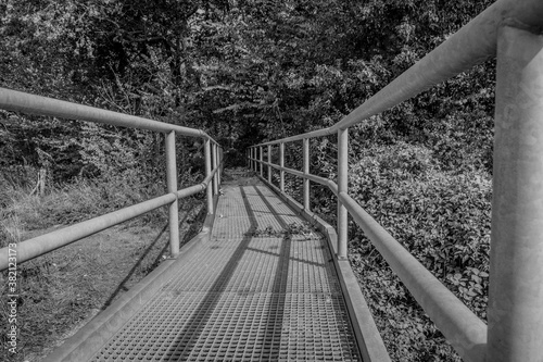 Fototapeta Naklejka Na Ścianę i Meble -  Metal bridge with its railing in the direction of the forest with lush trees and abundant vegetation, sunny day in South-Limburg in the Netherlands. Black and white image