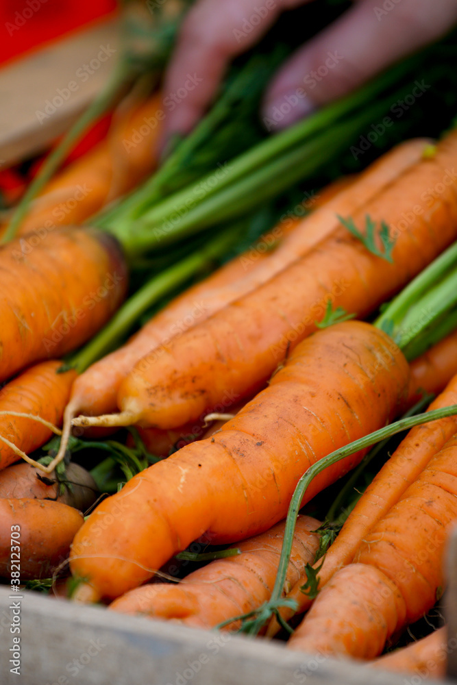 red carrots with tops are in a wooden box red carrots with tops are in a wooden box