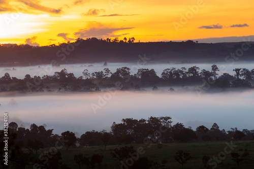 The silhouette forest and grass field with flowing mist on the morning and have orange twilight sky in winter.