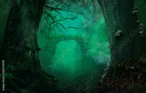 Fantasy forest background. Stone bridge or gates. Smoke Blue haze. Old massive crooked trees. Branch  Tinder fungi