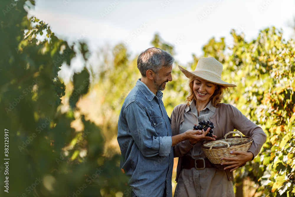 Fruit tree, happy people in nature. Fruit tree, happy people in nature.