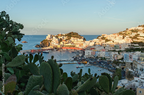 Quadro su tela Ponza, Pontine Islands, Latina district, Latium, Lazio, Italy, Europe, National