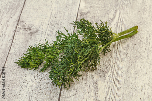 Aroma seasoning - Green Dill branch