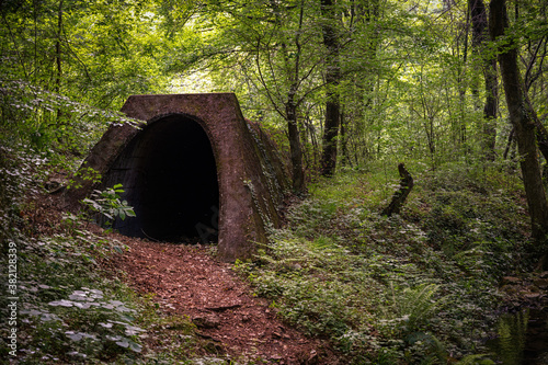 Unusual tunnel in the middle of a forest