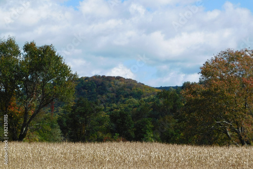 autumn landscape with trees, mountain & sky