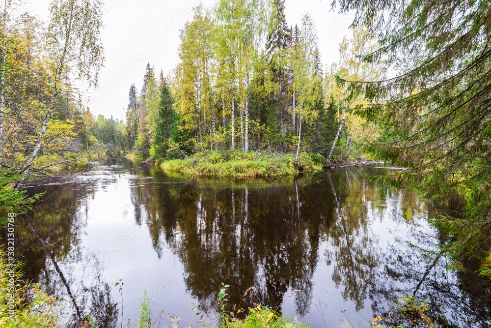 Autumn river in the taiga of the Arkhangelsk region, northern Russia. Overcast weather