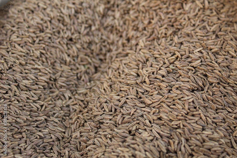 food background brown gray spices dill seeds cumin or coriander close up food background brown gray spices dill seeds cumin or coriander close up