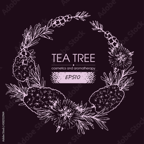 Frame with branches with leaves and flowers of tea tree . Detailed hand-drawn sketches, vector botanical illustration.
