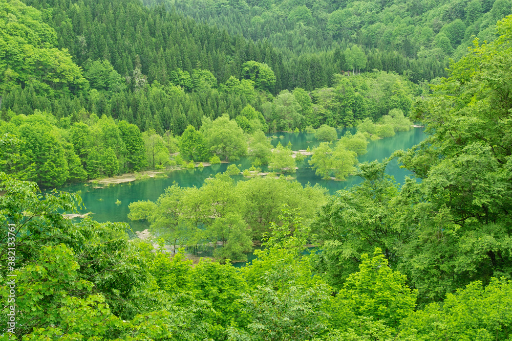 宝仙湖 宝仙湖