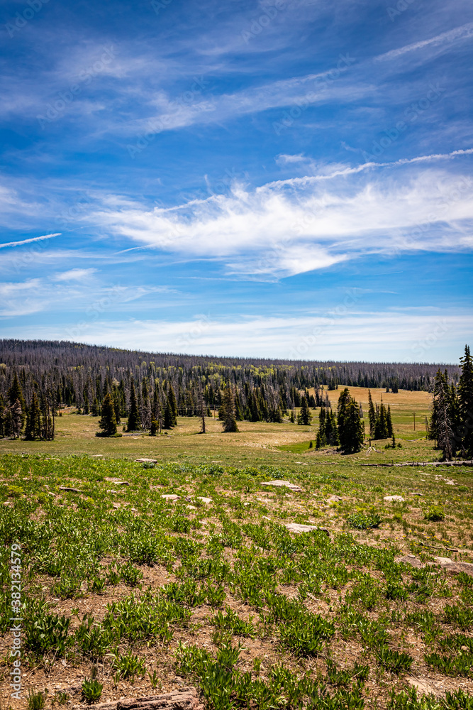 Cedar Breaks National Monument