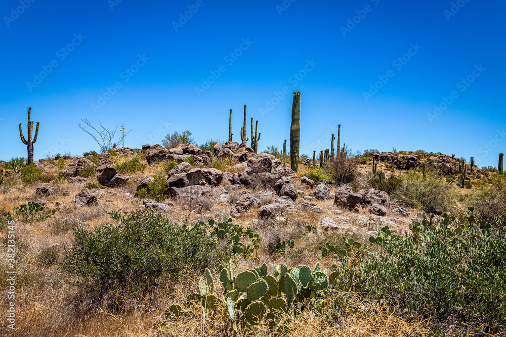 Apache Trail Scenic Drive View