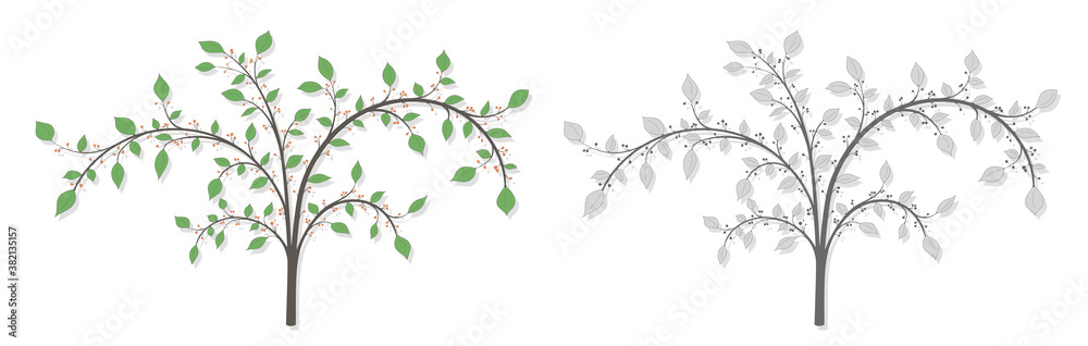 Blooming tree with branches, berries and green leaves in two versions color and gray on a white background Blooming tree with branches, berries and green leaves in two versions color and gray on a white background