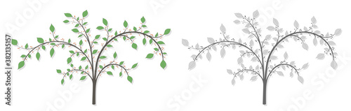 Blooming tree with branches  berries and green leaves in two versions color and gray on a white background