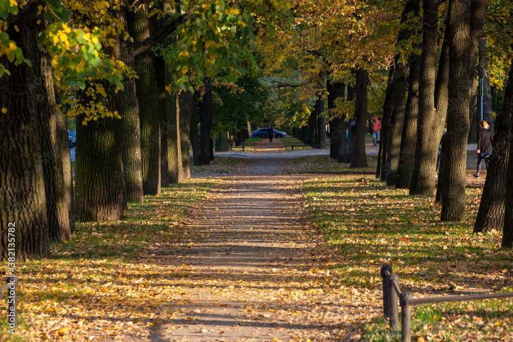 Naklejka premium People walk on the autumn road in the park. Beautiful landscape in Pushkin