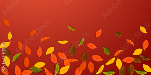 Falling autumn leaves. Red, yellow, green, brown n