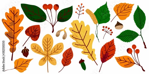 Autumn leaves. Fall orange yellow green foliage. Oak birch apple tree hand drawn elements with stamp texture, modern trendy colorful vector illustration, set of decor botanical objects
