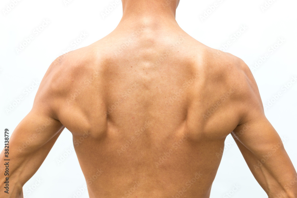 Fototapeta premium perfect man from the back on a white background