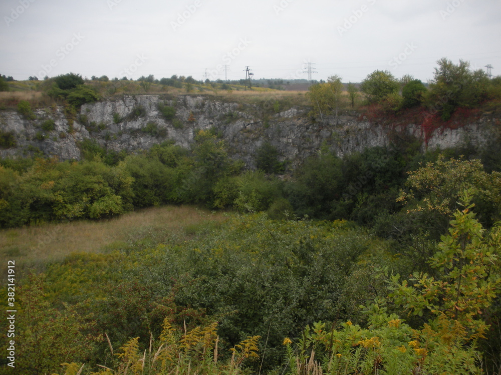 Obraz premium landscape with trees