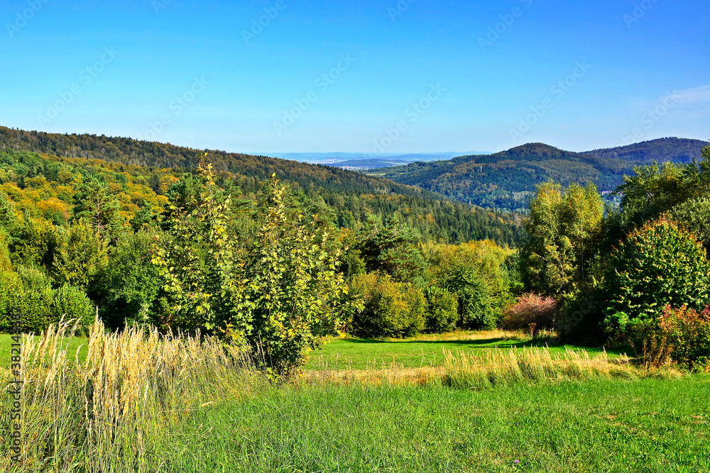 Beautiful summer landscape in the mountains with green meadows and forested hills.