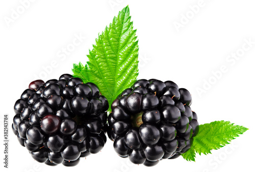 blackberries with leaves isolated on white background. full depth of field