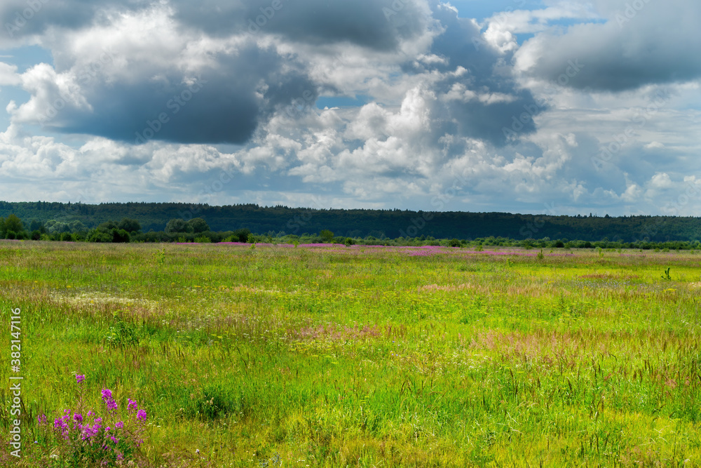 Landscape of nature. The image shows dramatic clouds, a field and a strip of forest.