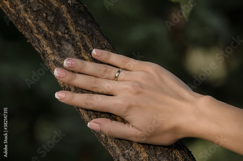 Hand of the bride with a wedding ring on a tree