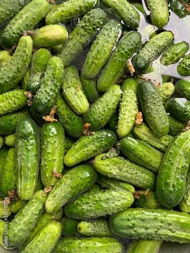 cucumbers in the market
