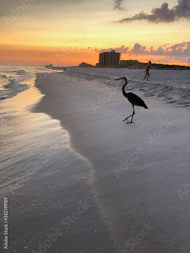 Perdido Key Sunset unclose with a blue heron Labor Day weekend 2020
