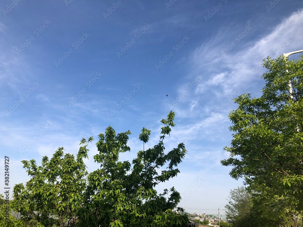 Obraz premium ILSAN, SOUTH KOREA