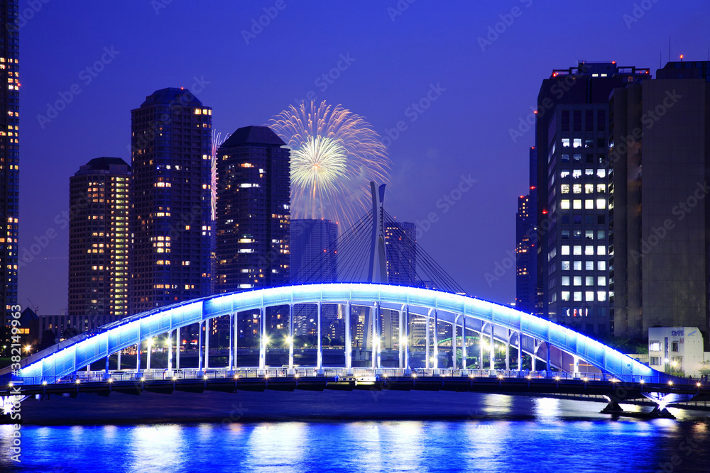 Obraz premium 東京湾の花火