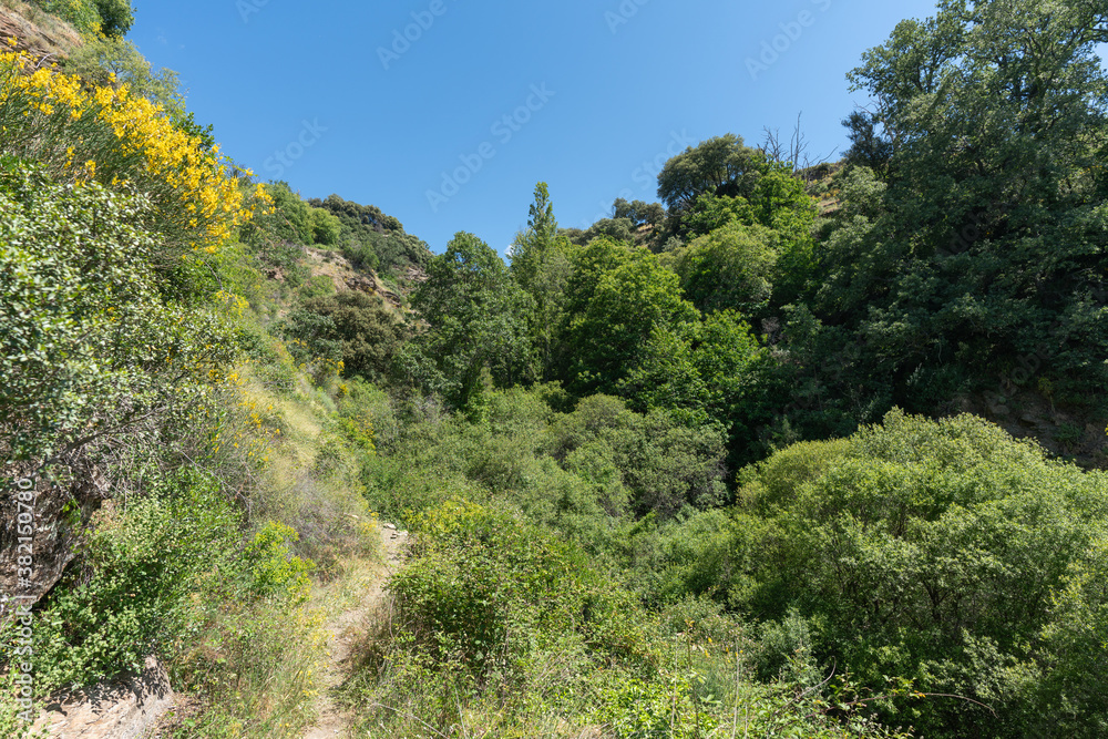 ravine in southern Spain with abundant vegetation