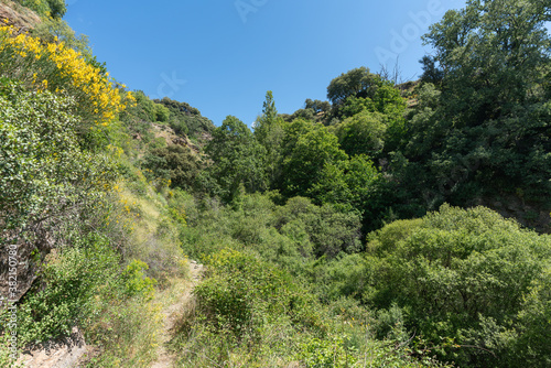 ravine in southern Spain with abundant vegetation