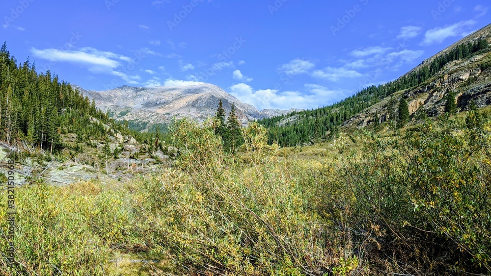 mountain forest landscape with sky