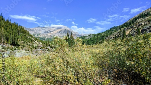 mountain forest landscape with sky