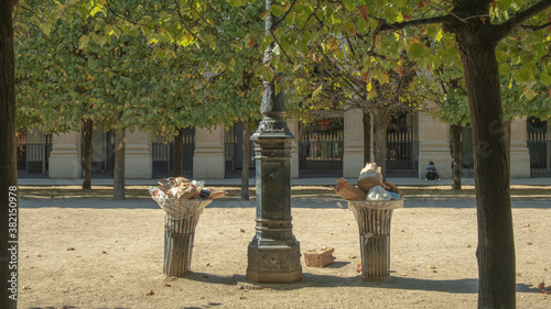 Wallpaper Mural Jardin du palais royal,  PARIS, FRANCE Torontodigital.ca
