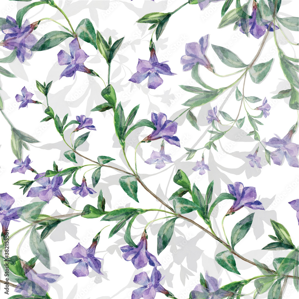 Floral composition meadow flowers periwinkle painting in watercolor on a white background. Floral composition for fabric. Seamless pattern  for decorations.