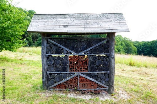 A house for insects 