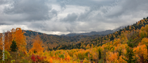 autumn, forest, mountains, hills