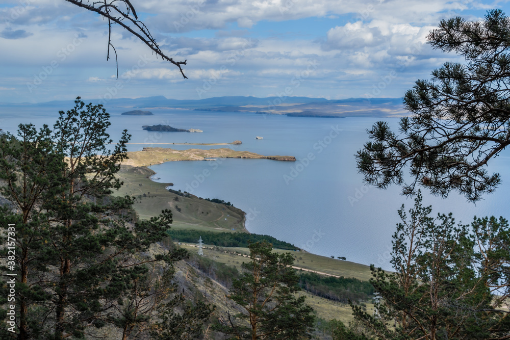 Green coniferous branches of pine trees on slope of mountain on coast of bay blue Baikal lake with islands and peninsula in sun light. Mountains on horizon. Sky with clouds. Siberia nature landscape