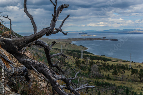 bare dark branch of burned tree against the background of bay of blue Siberian lake Baikal with yellow green grass on shore, mountauns on horizon. Cloundy sky