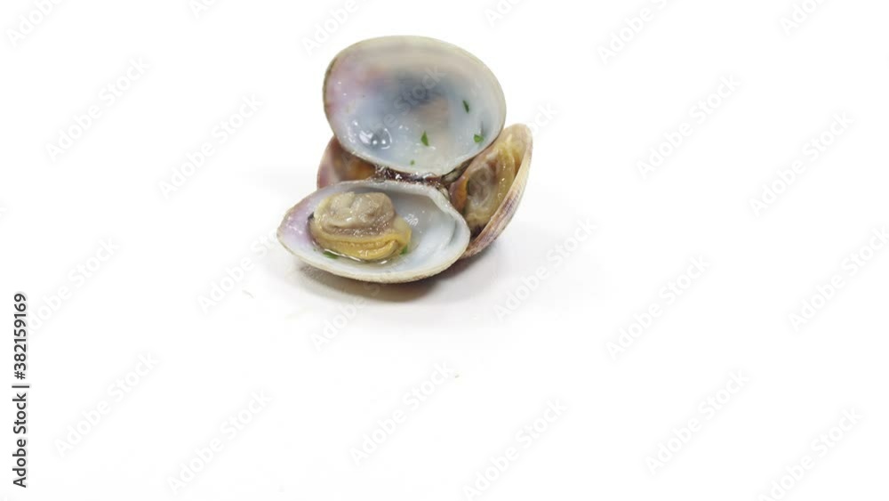 open clam shellfish seafood pasta sauce sauce open clam shellfish seafood pasta sauce sauce