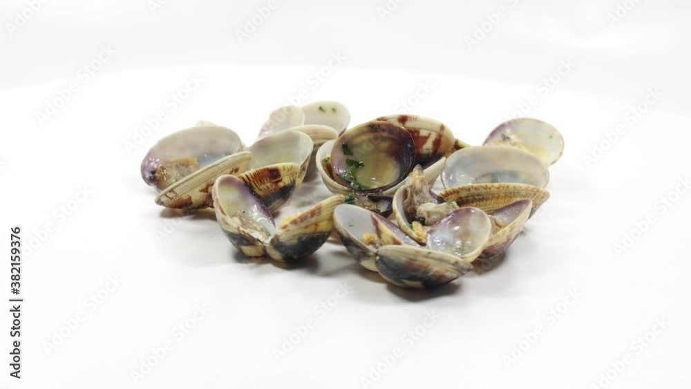 open clam shellfish seafood pasta sauce sauce open clam shellfish seafood pasta sauce sauce